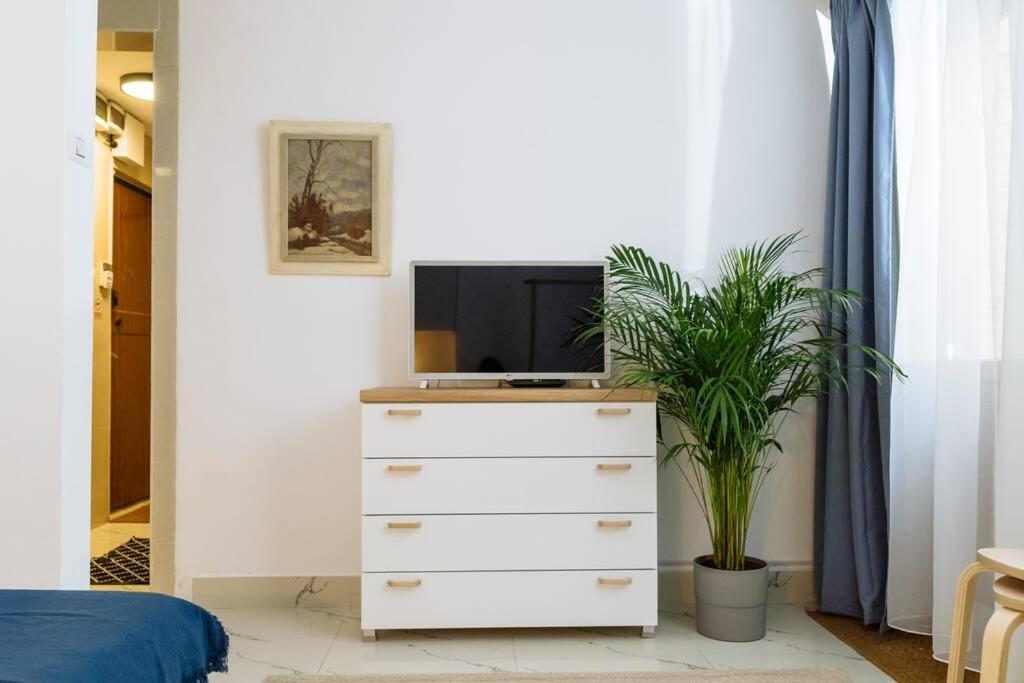 Studio With Private Terrace Next To Cismigiu 부쿠레슈티 외부 사진